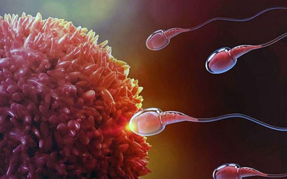 متى ينزل دم انغراس البويضة في الرحم مغص انغراس البويضة في الرحم - صحتك