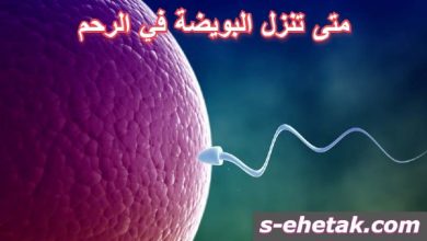 علامات نزول البويضة بالصور الأرشيف صحتك