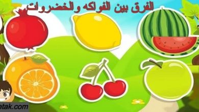 Photo of الفرق بين الفواكه والخضروات