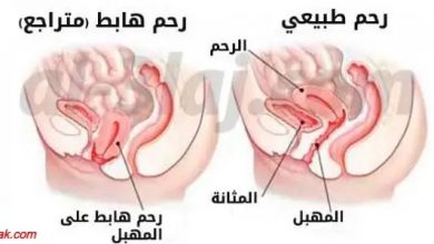 Photo of وصفات لتنظيف الرحم