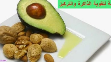 اشياء تقوي الذاكرة كيف تنمي ذكاء اطفالك غرور وكبرياء