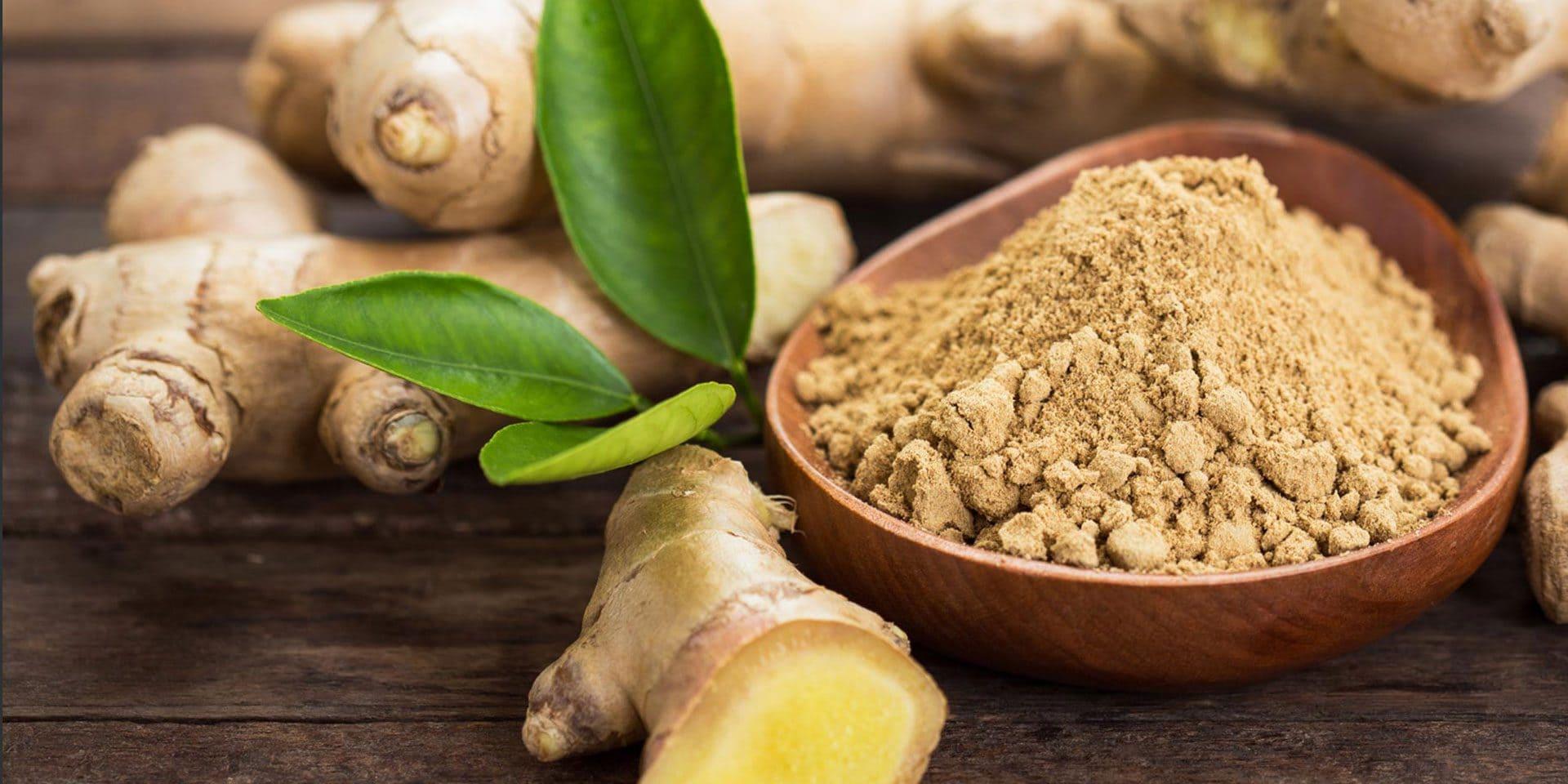 تجربتي شرب منقوع لبان الذكر على الريق تجربتي شرب منقوع لبان الذكر على الريق