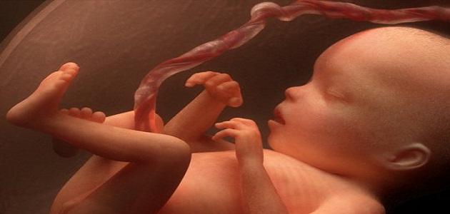 تجربتي مع القرفة للاجهاض