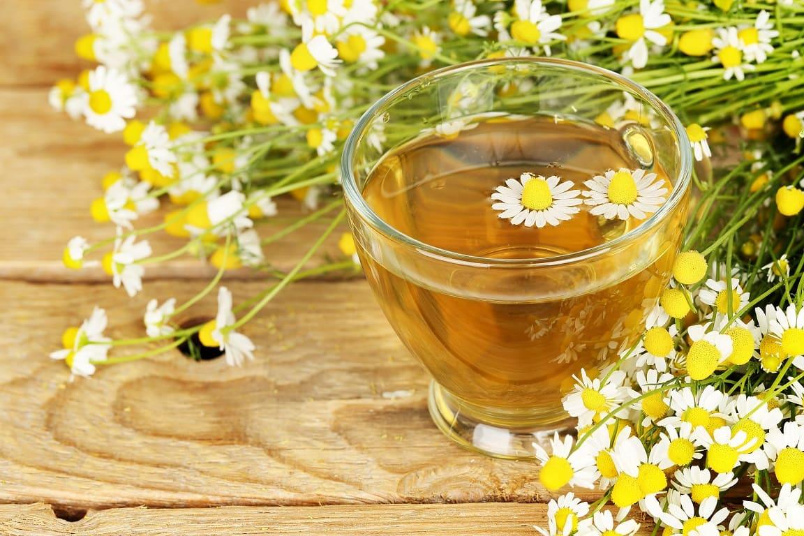 فوائد البابونج للتنحيف فوائد البابونج للتنحيف